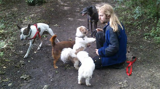 Dog care provider