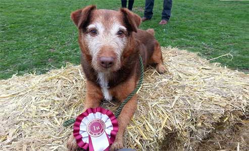 Fred shows off his winner's rosette